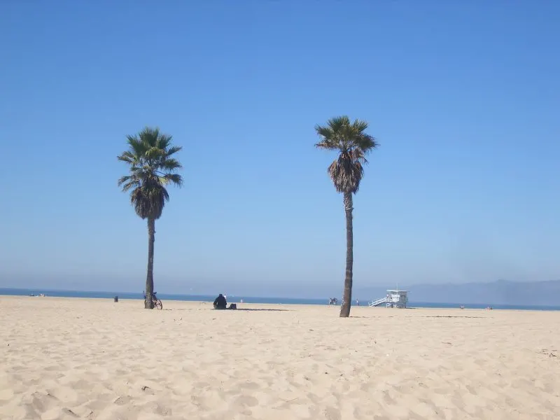 Roadtrip USA Venice Beach