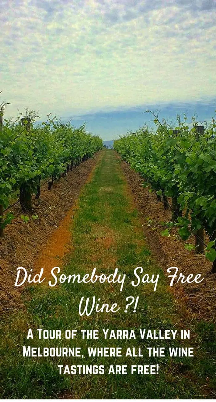 Did Somebody Say Free Wine?! Join me on a tour of the Yarra Valley, Melbourne