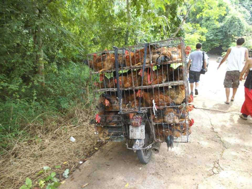 Motorbikes South East Asia