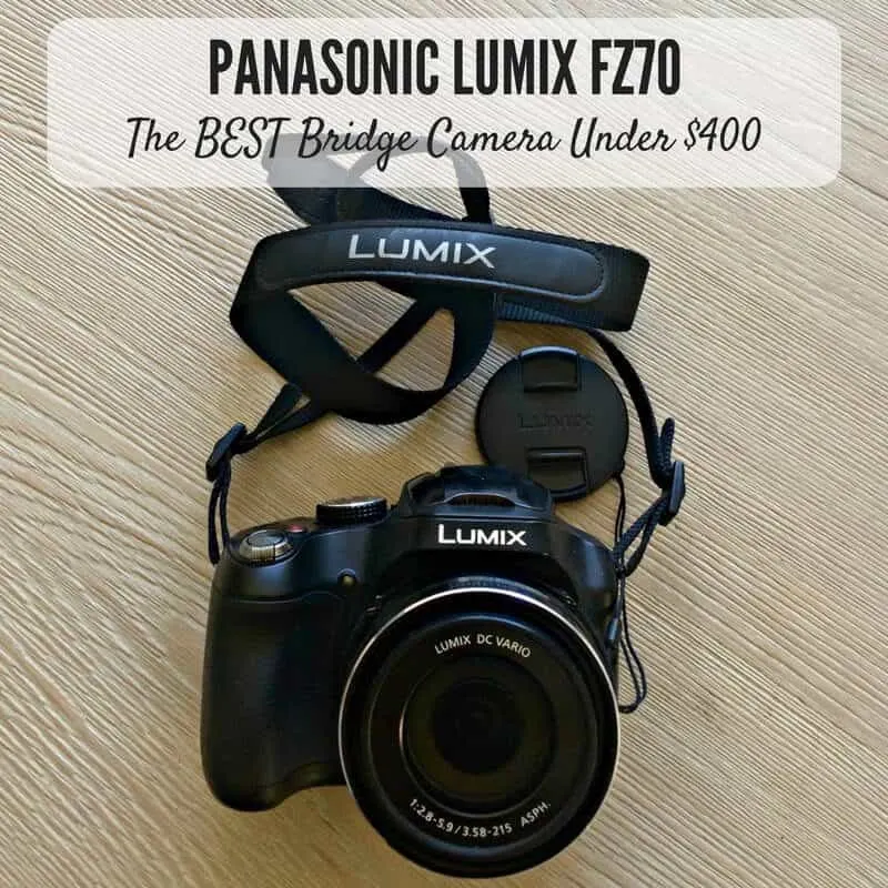 Panasonic Lumix FZ70 - The Best Bridge Camera For Travel Under $400