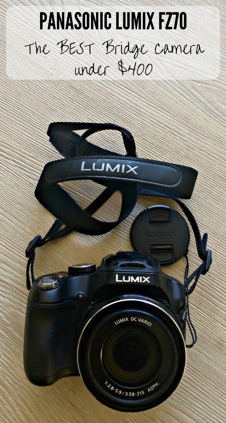 Panasonic Lumix FZ70 The Best Bridge Camera For Travel Under 400