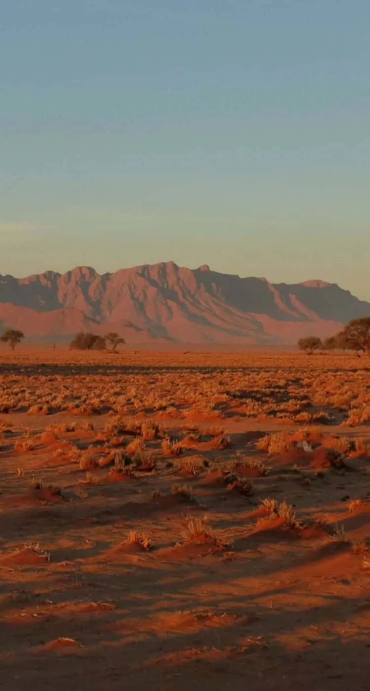 what-to-expect-on-an-overland-safari2
