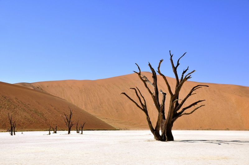 10 reasons visit Namibia 15 stunning photographs