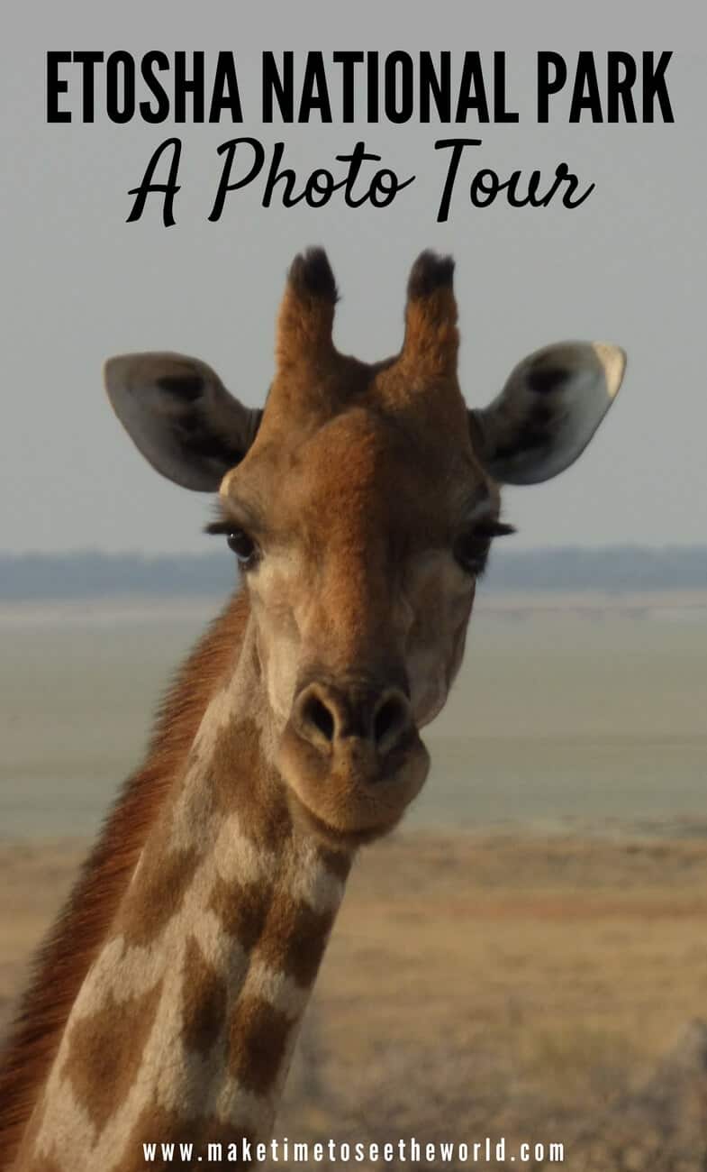 Etosha National Park Namibia Photo Tour