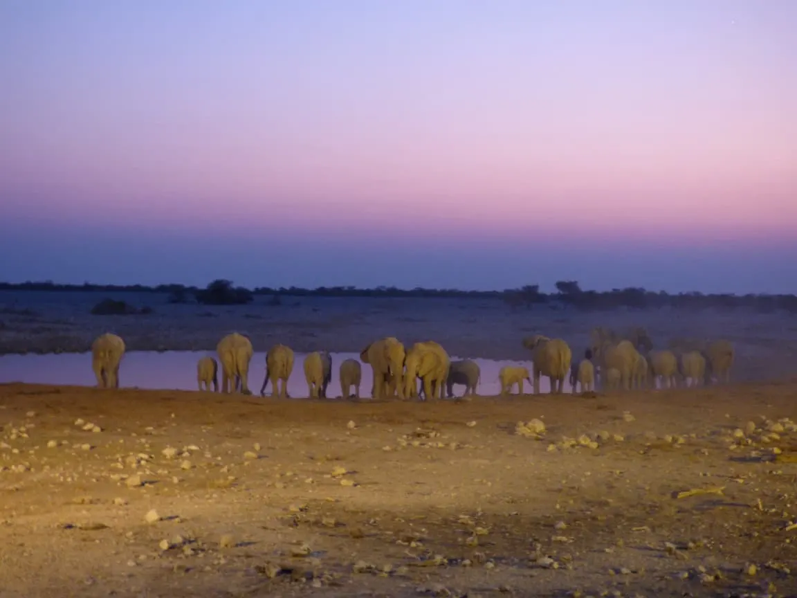 Etosha National Park Namibia Photo Tour