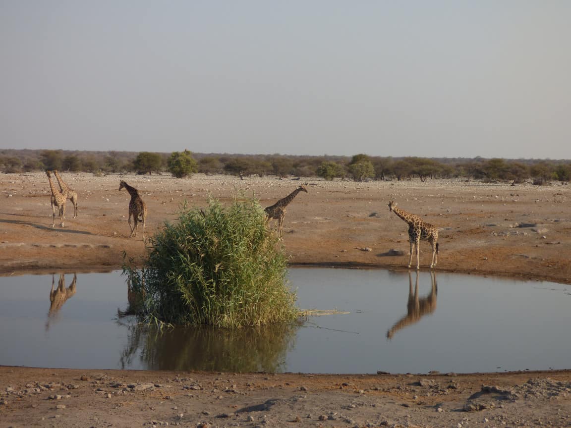 Etosha National Park Namibia Photo Tour