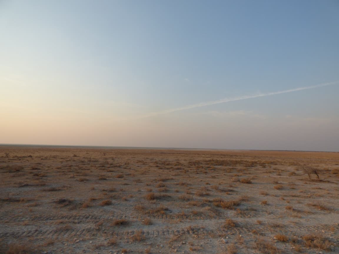 Etosha National Park, Namibia - A Photo Tour