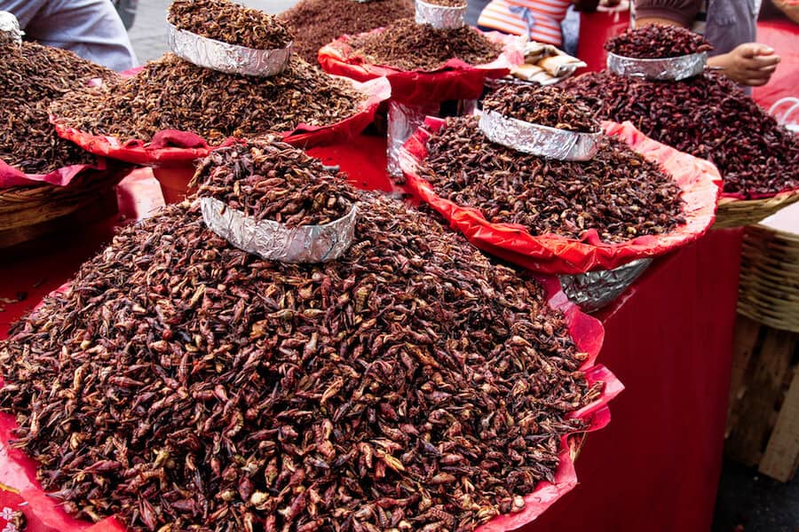 Oaxaca Markets