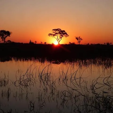 OKAVANGO SUNSET - Sunset in the Okavango Delta, Botswana - August 2016