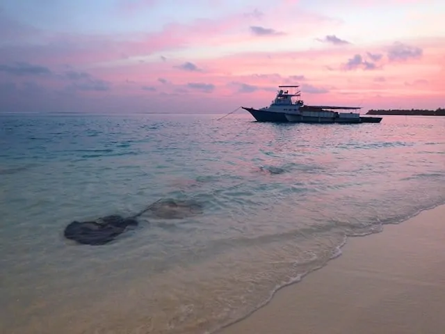 Stingrays at Sunset @ Sun Island Resort & Spa