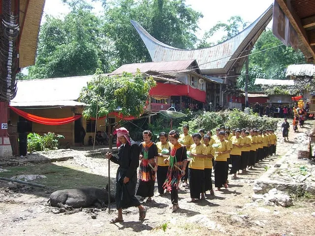 Toraja Funeral Procession