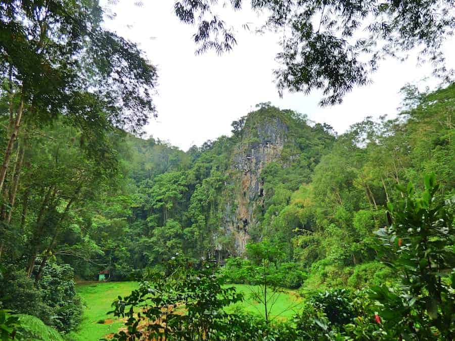 Londa - Cave Burial Site in Toraja Death Rituals