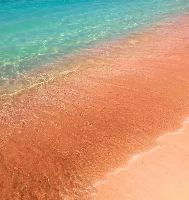 Pink Beach - Komodo National Park