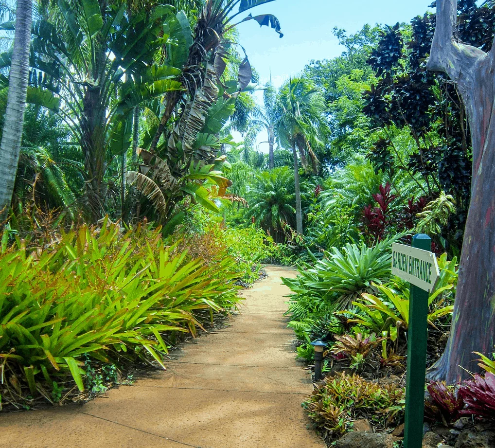 Hawaii Points of interest - the Tropical Botanical Garden Hawaii