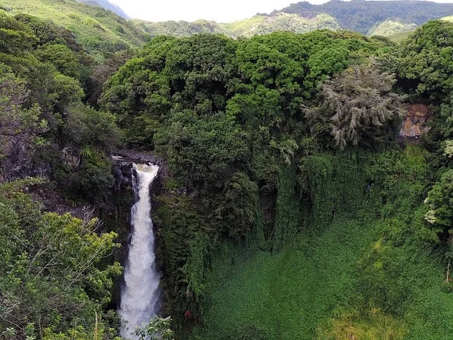 Must do in Hawaii - visit the Waipo Valley
