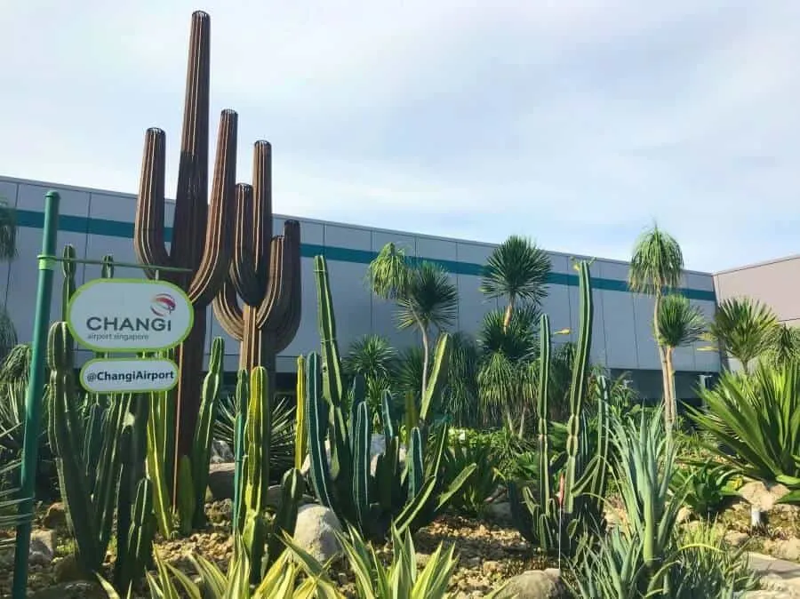 Cactus Garden Changi Airport