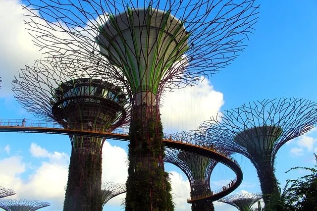 15 Fun Things To Do at Singapore Changi Airport