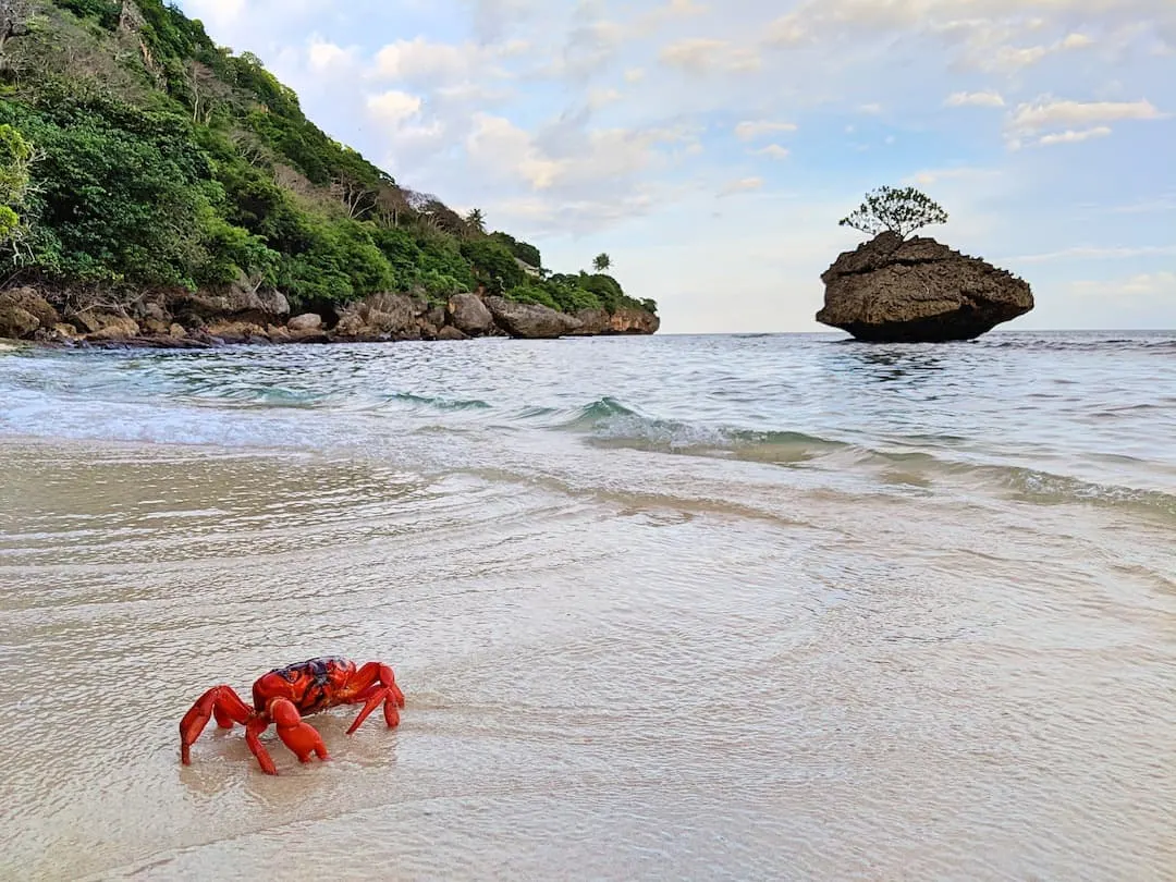 Flying Fish Cove - Pirate Beach Christmas Island