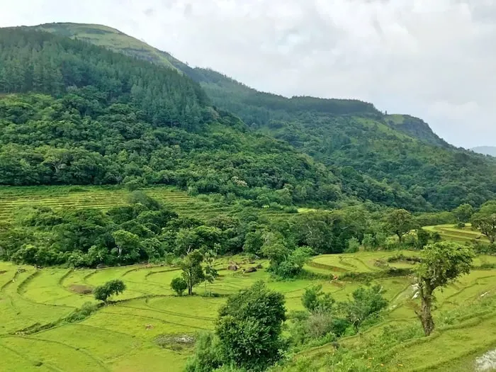 Hike the Knuckles Mountain Range on your Sri Lanka Safari