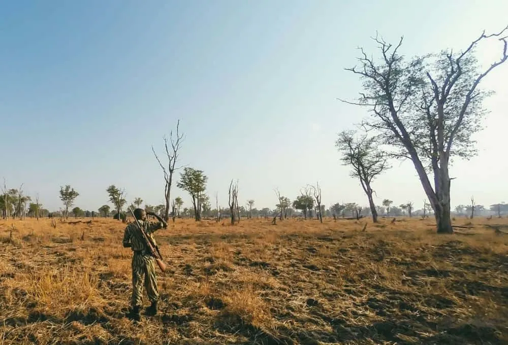 Zambia