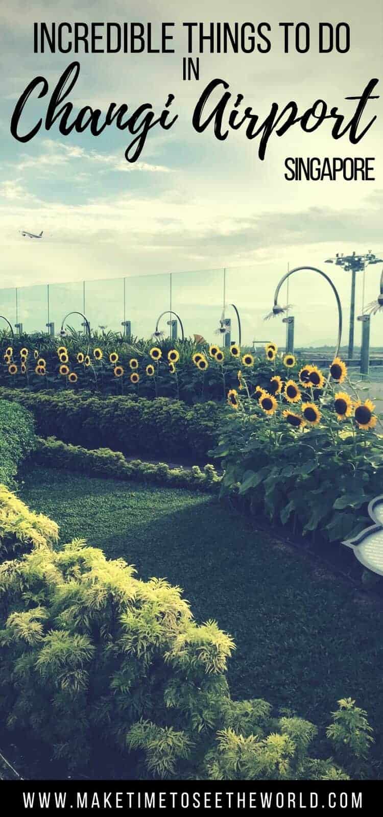 Layover in Singapore? Here's The Best Things To Do in Changi Airport