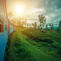 Travel on the Blue Train through green fields from Kandy to Ella