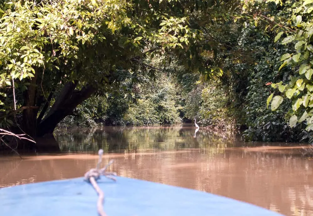 Off the beaten path places to visit - Kinabatangan