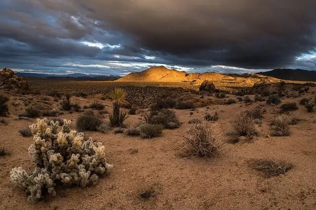 Great Basin Desert