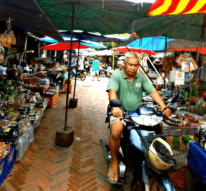Things to do in Luang Prabang - visit the morning market