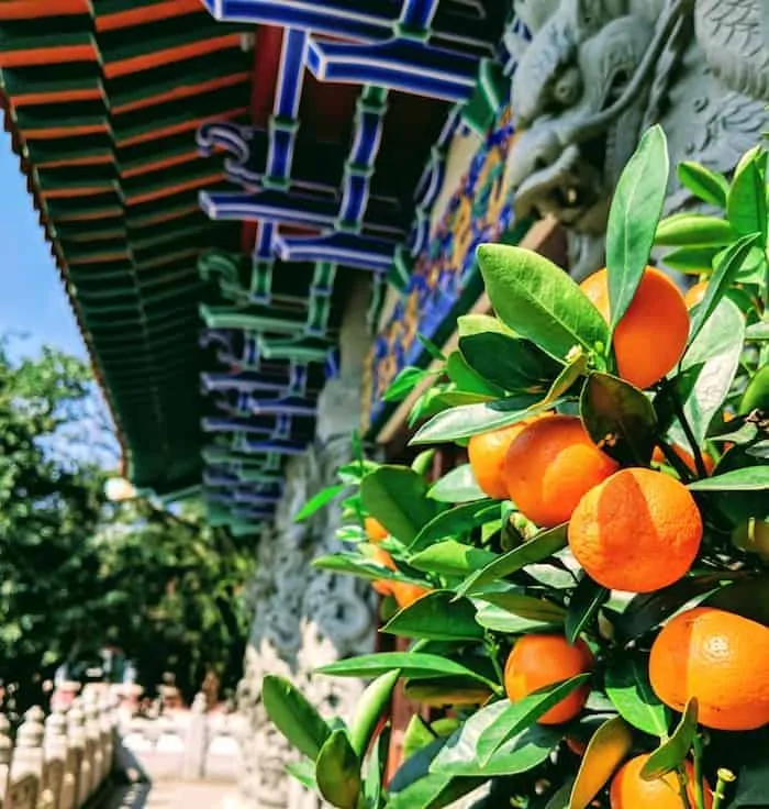 Po Lin Monastery Lantau island