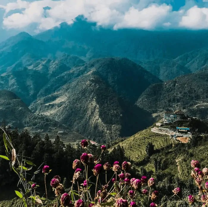 Mountain Landscape with white clouds above and red flowers in the foreground