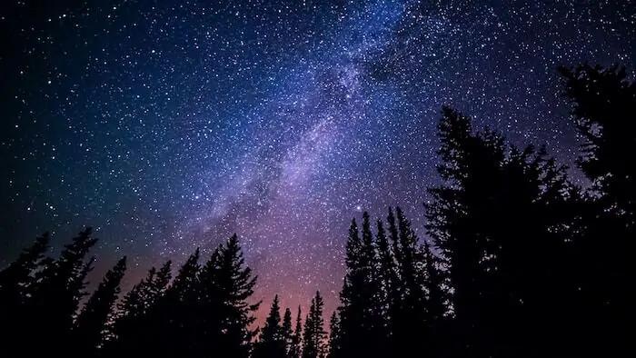 Milky Way with Trees in Shaddow in the foreground