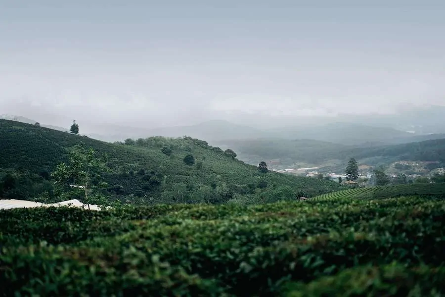 Cable Car in Dalat