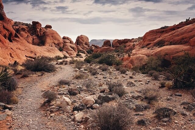 Red Rock Canyon Tour from Las Vegas