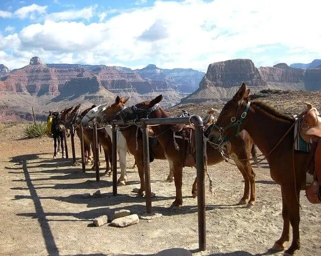 Wild West Horseback Tour