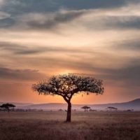 African Adventures for your Africa Bucket List