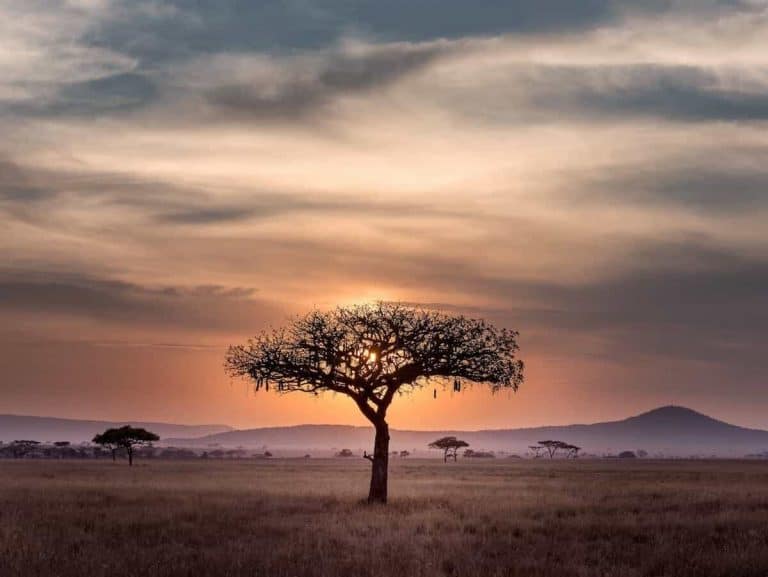 30 AMAZING African Adventures For Your Africa Bucket List