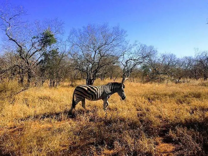 Kruger National Park