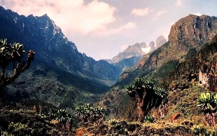 Rwenzori Mountains trekking