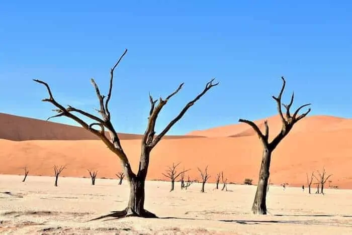 Sousselvlei - Deadvlei Namibia