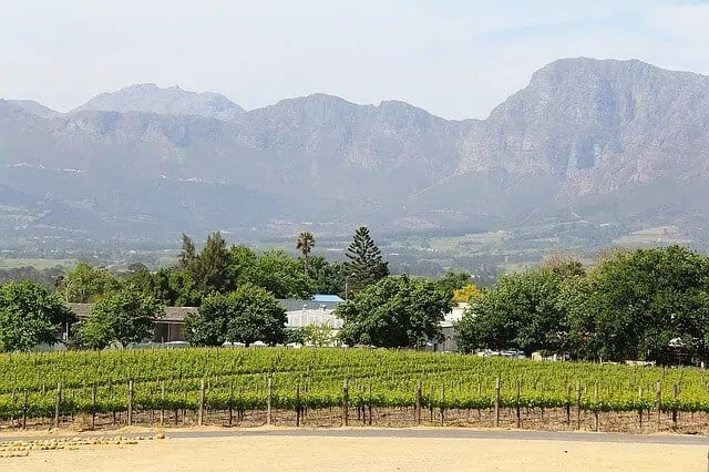 Stellenbosch, Wine Country Cape Town