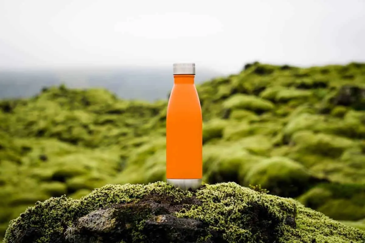 The Best Travel Water Bottles