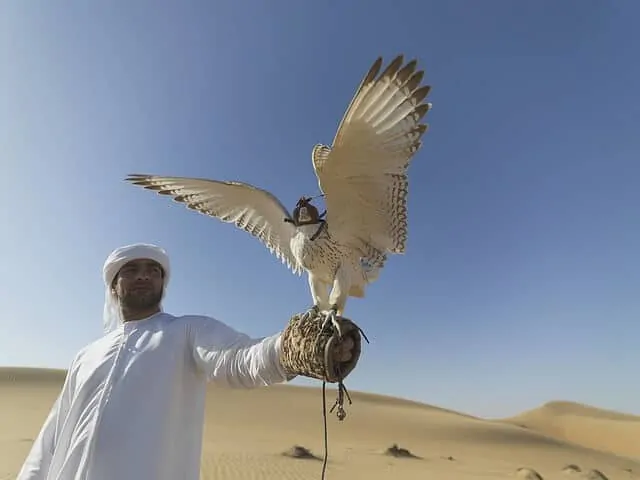 Dubai Desert Falconry & Land Rover Tour