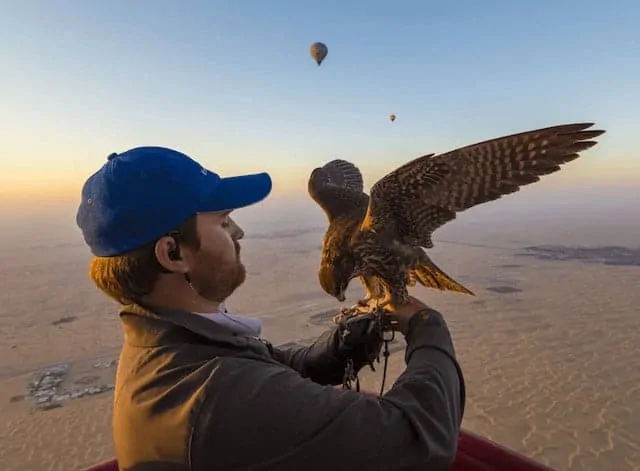 Dubai Hot Air Balloon Falconry