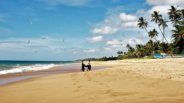 Negombo Beach - large stretch of golden sand with palm trees along the right edge of the frame and two fisherman carrying their catch in the distance in the centre of the frame with footprints in the sand leading to where they stand