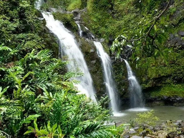 Sinharaja Forest Reserve