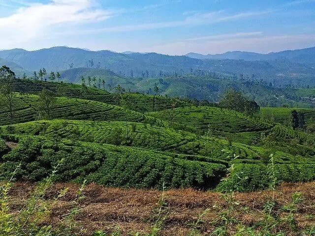 Sri Lanka Central Highlands