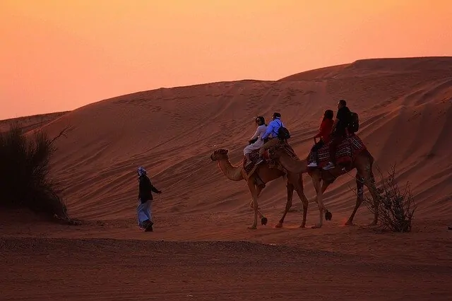 Sunset Camel Safari Dubai