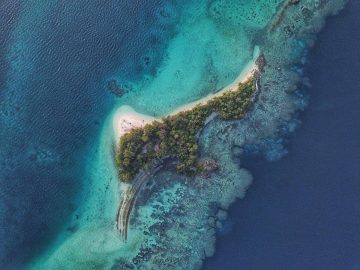 20+ Fun Facts About the Solomon Islands (To Know Before you Go!)