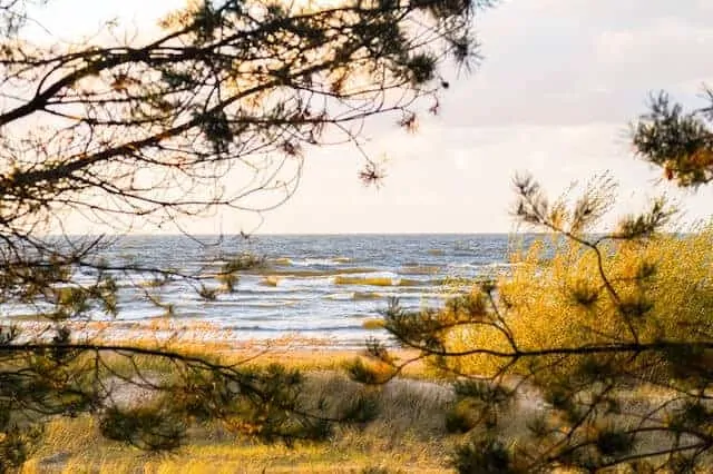 Vecaki beach, Riga